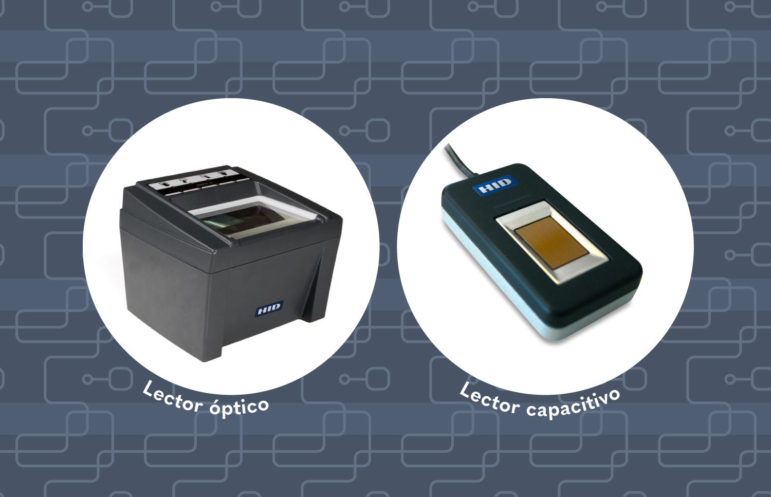 Lectores de huellas ópticos vs. capacitivos: diferencias